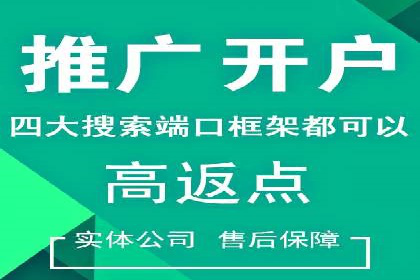 某电商平台的SEM运营实战与效果分析